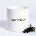SCENOVIA Black Cedar & Juniper soy candle, white background