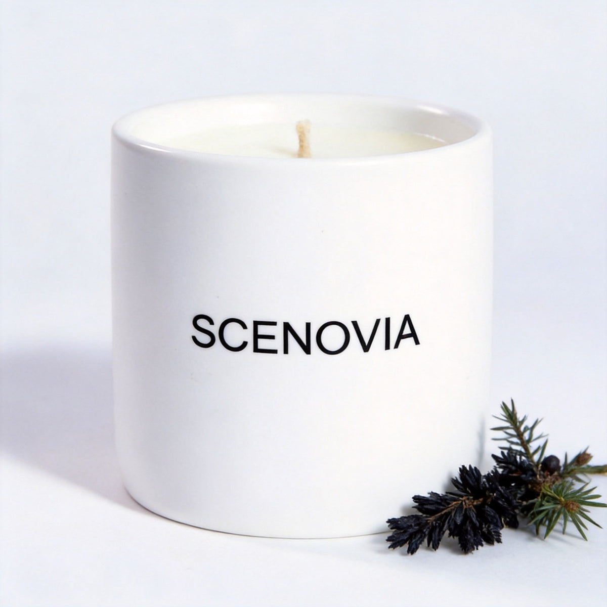SCENOVIA Black Cedar & Juniper soy candle, white background