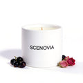 SCENOVIA Blackcurrant & Rose soy candle, white background
