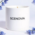 SCENOVIA Bluebell & White Birch soy candle, white background
