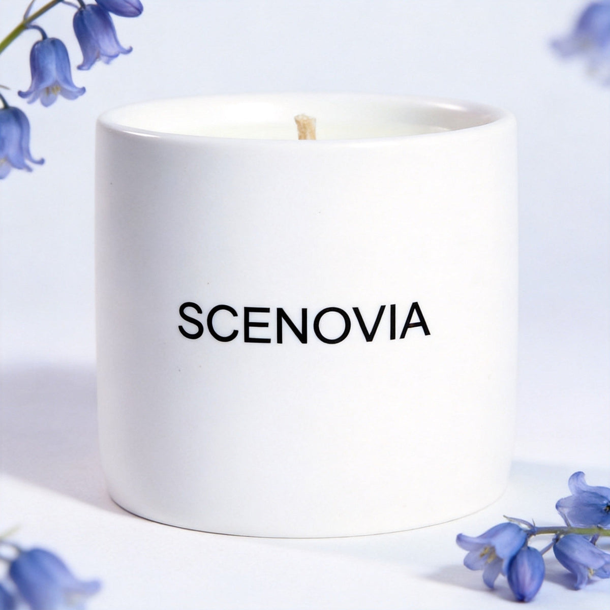 SCENOVIA Bluebell & White Birch soy candle, white background