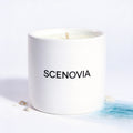 SCENOVIA Coastal Driftwood soy candle, white background