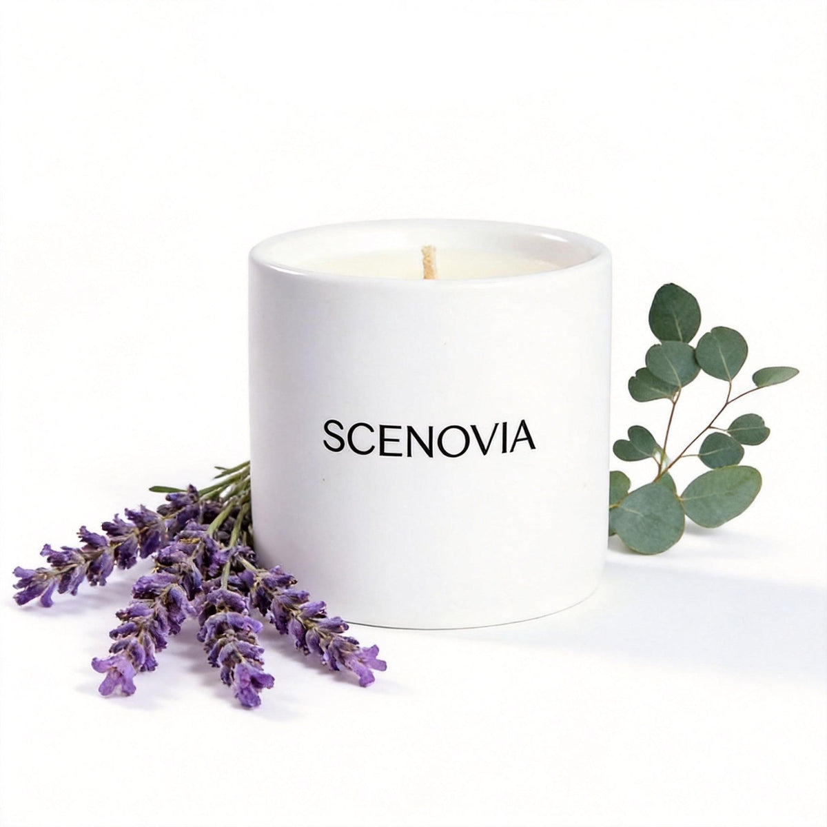 SCENOVIA Lavender & Eucalyptus soy candle, white background