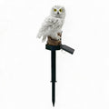 SCENOVIA solar owl garden light, white background