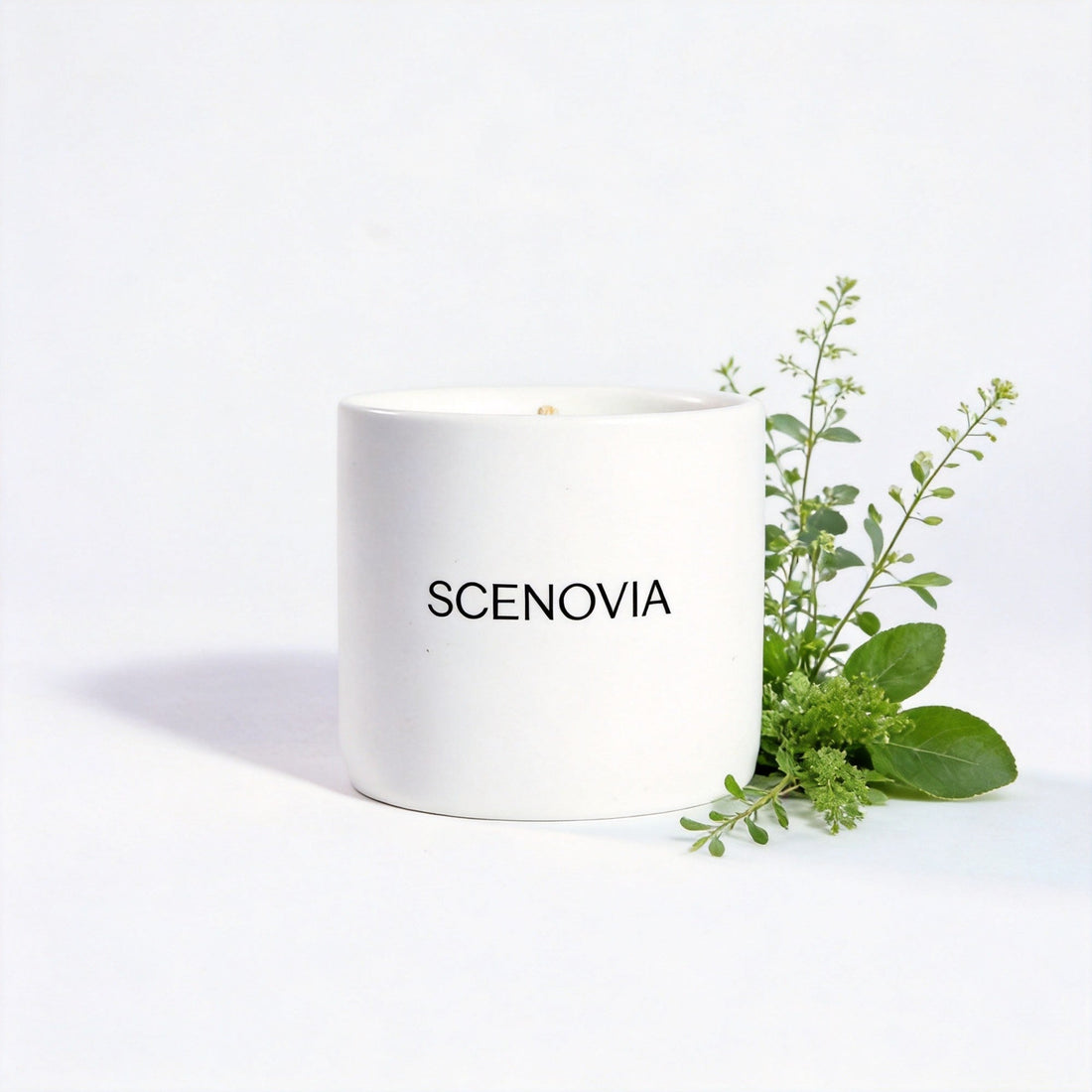 SCENOVIA Sunlit Pages soy candle, white background