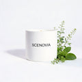 SCENOVIA Sunlit Pages soy candle, white background