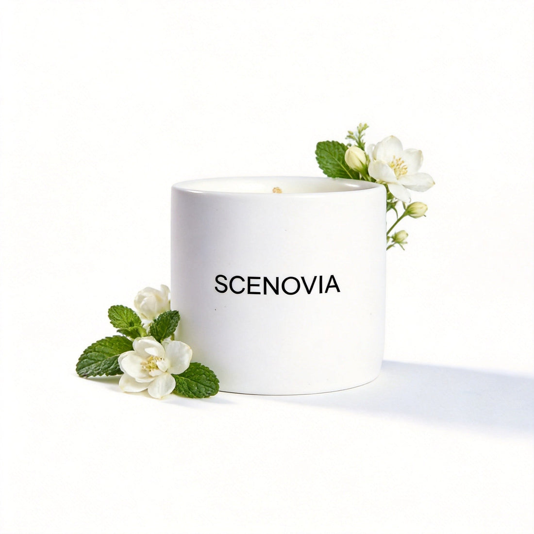SCENOVIA White Jasmine & Mint soy candle, white background