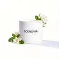 SCENOVIA White Jasmine & Mint soy candle, white background