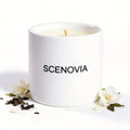 SCENOVIA Zen Tea soy candle, white background